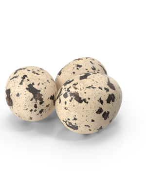 Quail/Kaadai egg