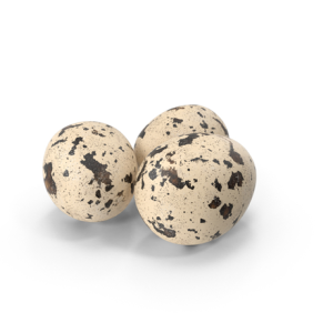 Quail/Kaadai egg